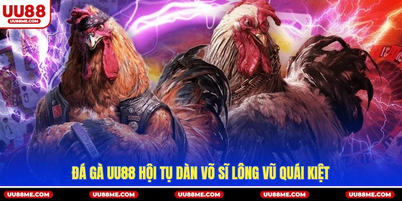 Đá gà UU88 hội tụ dàn võ sĩ lông vũ quái kiệt